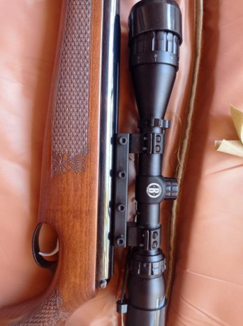 Vendo carabina Air arms en 22 cal en 16 j (actualmente en unos 18 j con arandelas de carga)Muy bonita 70