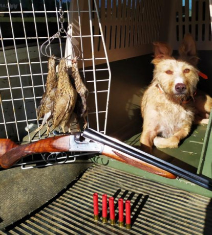 . 22