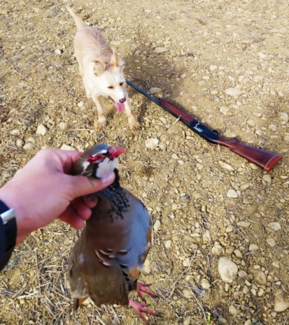 . 21
