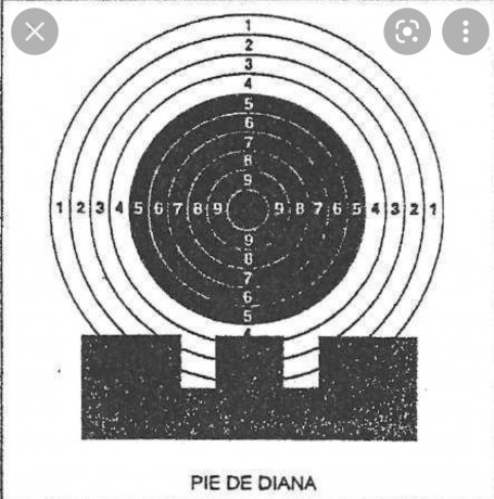 Bueno, para animar el foro un poco, propongo colgar fotos de dianas y arma usada para ello, pudiendo ser 131