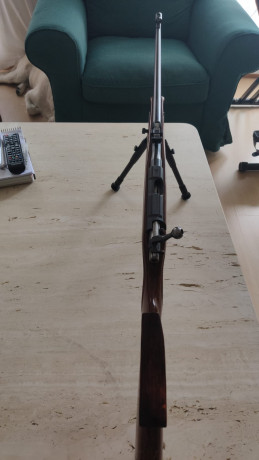 ¡Vendo carabina CZ 452 Luxe con disparador ajustado a pelo y bípode acoplado al arma, desmontable!!
Buena 00