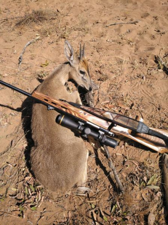 Muy buenas: 
Vendo mi ojito derecho...un rifle que solo me ha dado alegrías y nunca me ha defraudado...ni 11