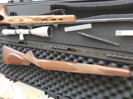 Muy buenas: 
Vendo mi ojito derecho...un rifle que solo me ha dado alegrías y nunca me ha defraudado...ni 21
