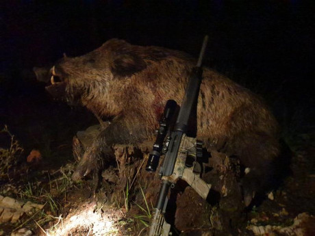 Pues esa es la pregunta en una plataforma ar15 en ese calibre sirve para cazar??
Gracias de antemano 40
