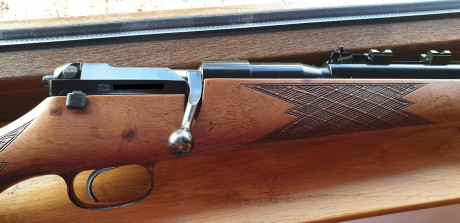 Un buen amigo sin cuenta aquí me pide anunciar su rifle, se trata del emblemático Mauser 66 en 7mm Remington 01