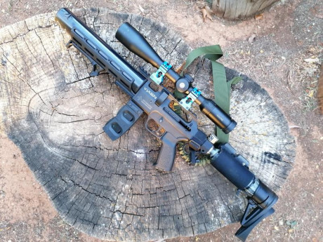 ***vendida, gracias***
Por exceso de carabinas pongo a la venta esta carabina PCP Vixen de Airgun Technology, 01