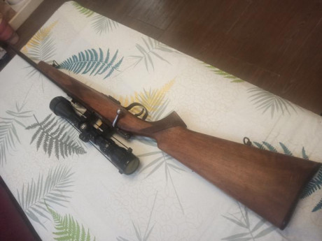 Hola, vendo carabina onena 500 con visor busnhel original, tiene mucha precisión, también podría vender 01