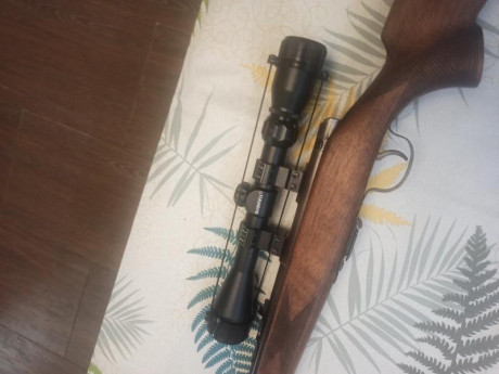 Hola, vendo carabina onena 500 con visor busnhel original, tiene mucha precisión, también podría vender 00