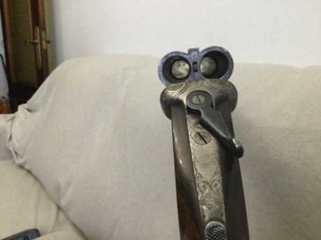 Hola Compañeros acabo de obtener el permiso E D.

Soy nuevo en el tema de armas largas.

El problema es 61