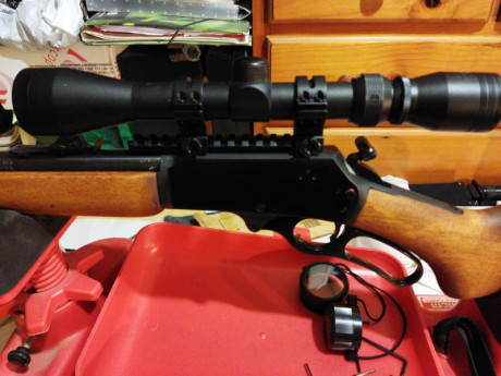 Vendo 41