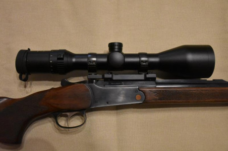 Meostar r1 de 3 a 10x 50.      400Esta perfecto, montado en un monotiro, pocos disparos sin arañazos. 01