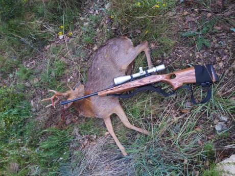 Muy buenas: 
Vendo mi ojito derecho...un rifle que solo me ha dado alegrías y nunca me ha defraudado...ni 10