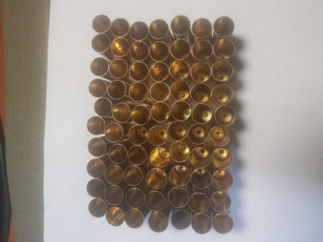 Hola, cambio 70 vainas del 45 Colt desenpistonadas y limpias por vainas del 44 00