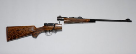 Hola quisiera que me aconsejarais sobre estos dos rifles en calibre 30-06 para los jabalises, cual seria 60