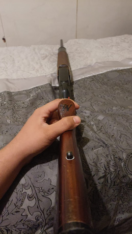 Cerrado 61
