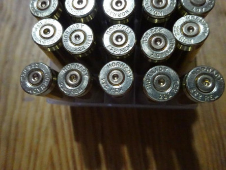 Buenos días,

Vendidas las 505 vainas Hornady del calibre .222R, conservan el pistón original Hornady 02