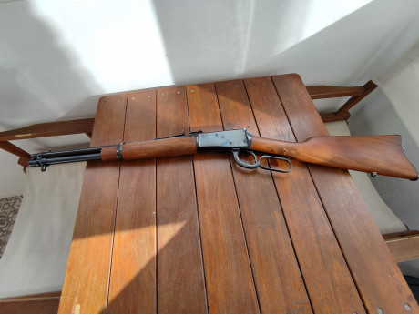 Vendo palanquero Amadeo Rossi en 44 Magnun.

Incluyo 500 puntas, DIES de recarga LEE y 40 vainas.

450 02
