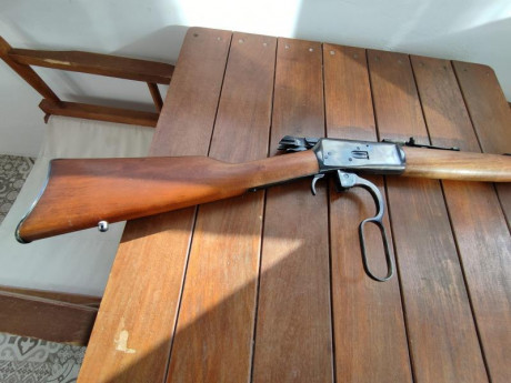 Vendo palanquero Amadeo Rossi en 44 Magnun.

Incluyo 500 puntas, DIES de recarga LEE y 40 vainas.

450 01