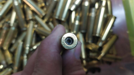 Vendo 245 vainas lapua cal 308
Con dos disparos
130€ con envio incluido. 

Saludos. 01