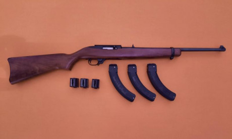 Carabina semiautomática .22 en perfecto estado de funcionamiento y de madera y metal.
Tiene instalado 00