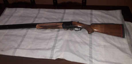 Hola vendo estas dos escopetas, una beretta 303 con polichokes en muy buen estado, el primer propietario 02