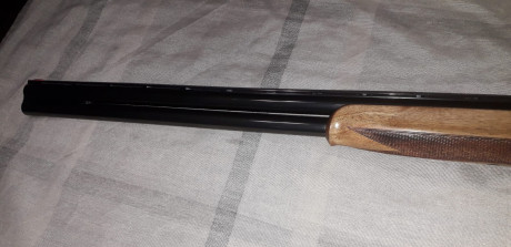 Hola vendo estas dos escopetas, una beretta 303 con polichokes en muy buen estado, el primer propietario 12