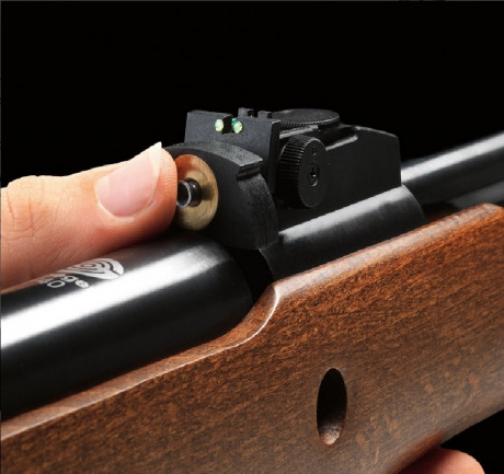 Pistola  HATSSAN   piston vortex  ( no lleva muelle )

carabina  F 40 cañon fijo    STOEGER   ( muelle 10