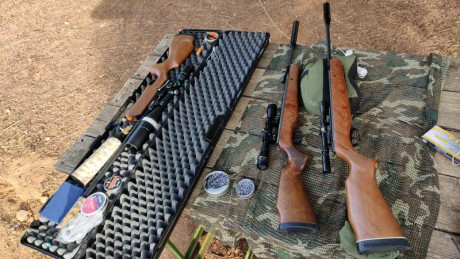 Buenos dias,
Acabo de comprarme una carabina Weihrauch WH97K en calibre 5,5 y potencia FAC. Voy a ponerle 70