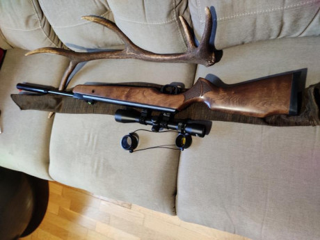 Buenas, vendo mi Cometa Fénix 400 en 5.5 .
Muy bien cuidada ,con una madera preciosa con muchas betas 02
