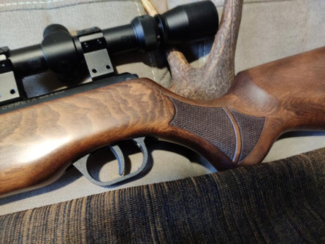 Buenas, vendo mi Cometa Fénix 400 en 5.5 .
Muy bien cuidada ,con una madera preciosa con muchas betas 10
