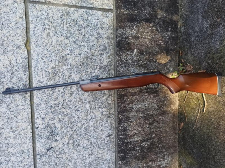 Hola, vendo gamo hunter 440 en calibre 5.5 del año 1997,la época dorada de gamo, esta en buen estado en 02