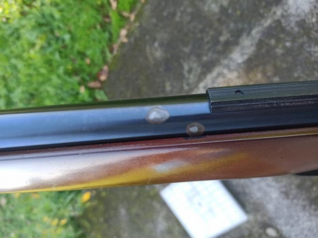 Hola, vendo gamo hunter 440 en calibre 5.5 del año 1997,la época dorada de gamo, esta en buen estado en 22