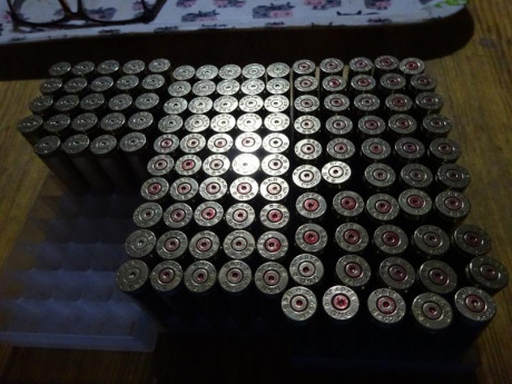 Vendo lote de vainas calibre 8X57 JS, 124 Sellier&Bellot y 47 DAG by RWS con un solo tiro, pasadas 01