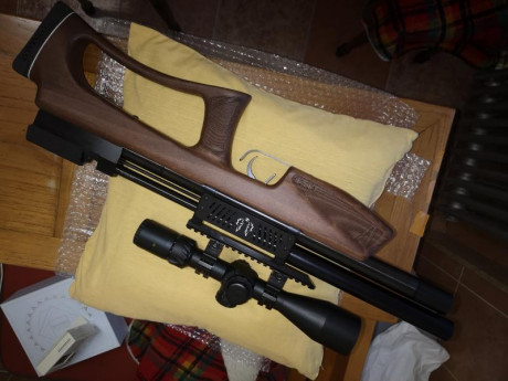 Se vende lobo hound que no tendrá un mes tiro una caja balines, trae lo del oak Navidad dos cargadores, 01