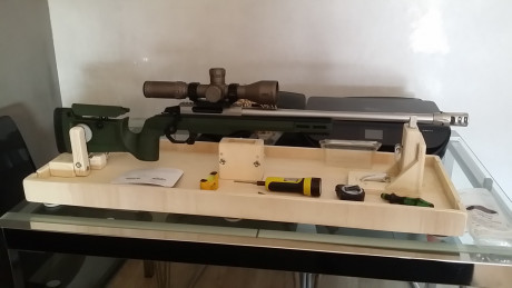 Buenas amigos, ando buscando un rifle de uso mixto que me permita tirar comodo unos tiros en galería de 10