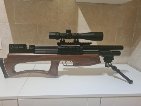 Vendo esta lobo hound en calibre 5,5 con varios extras.

La entrego con maleta rigida de transporte, 2 02