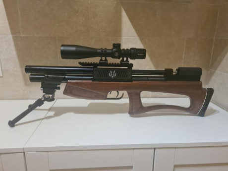 Vendo esta lobo hound en calibre 5,5 con varios extras.

La entrego con maleta rigida de transporte, 2 01