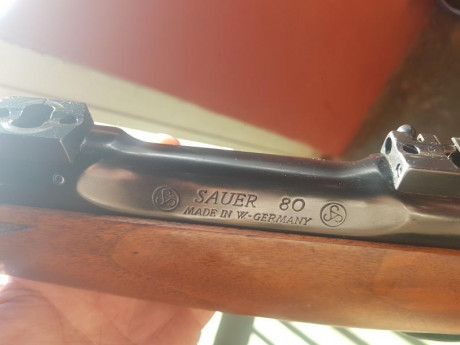 Vendo rifle Sauer 80 en cal. 300 Watherby.  En excelente estado.  Precio 1600€. Telf 666837888 00