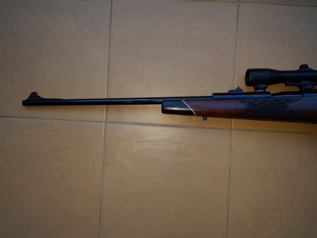 Vendo Mauser 66 calibre 6,5x68 con bases/monturas Shuler y visor Smith Bender 1,3/4 - 6x .
Salu2. 00