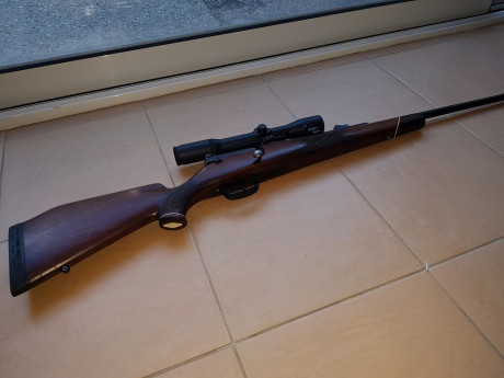 Vendo Mauser 66 calibre 6,5x68 con bases/monturas Shuler y visor Smith Bender 1,3/4 - 6x .
Salu2. 11