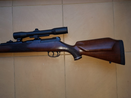 Vendo Mauser 66 calibre 6,5x68 con bases/monturas Shuler y visor Smith Bender 1,3/4 - 6x .
Salu2. 10