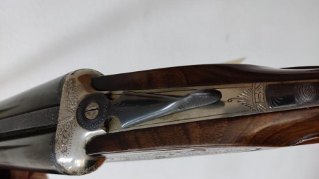 Vendo Escopeta paralela Martin Amuategui modelo Coto calibre 12 de cañones 1 y 3 estrellas, expulsora 11