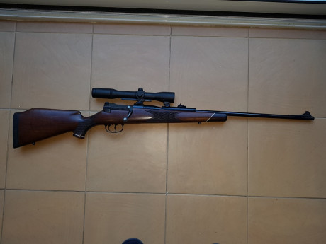 Vendo Mauser 66 calibre 6,5x68 con bases/monturas Shuler y visor Smith Bender 1,3/4 - 6x .
Salu2. 22