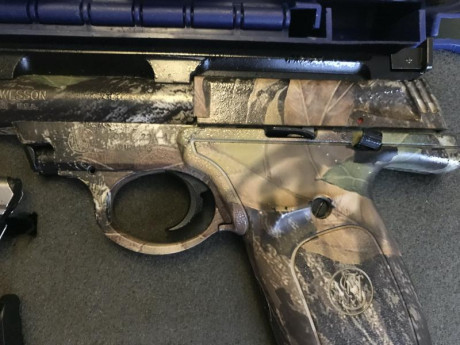 - Calibre: .22LR
- Acción: simple.
- Capacidad: 10+1 Balas.
- Longitud del cañón: 13,9 cm.
- Punto de 00