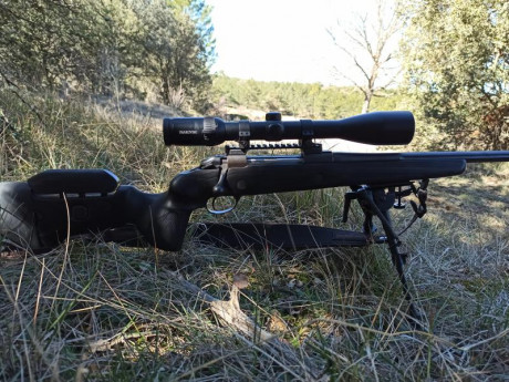 Buenos días, como el hombre propone y Dios dispone, me tengo que deshacer de uno de mis mejores rifles. 00