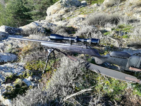Buenos días, como el hombre propone y Dios dispone, me tengo que deshacer de uno de mis mejores rifles. 12