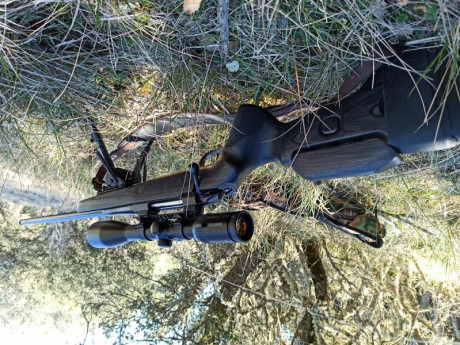 Buenos días, como el hombre propone y Dios dispone, me tengo que deshacer de uno de mis mejores rifles. 10