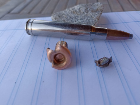 Si  andarnos por las ramas, vale o no vale este calibre para el jabali en batida, gancho (MONTERIAS, POR 31