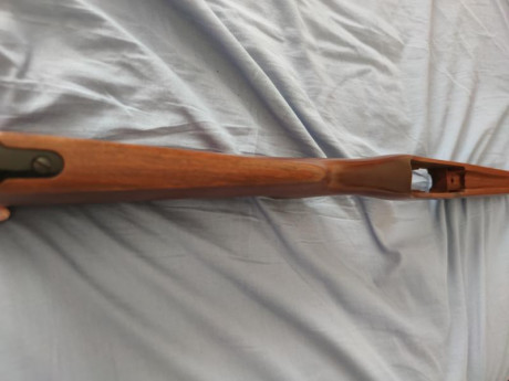 Hola compañeros. Vendo culata ruger 10/22 en buenísimo estado. Precio ahora 75€ ahora 60€ puesta en casa 10