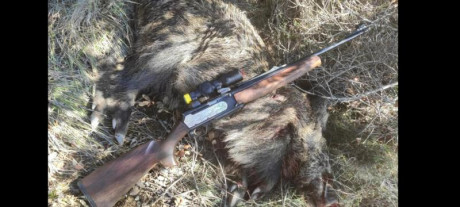 Si  andarnos por las ramas, vale o no vale este calibre para el jabali en batida, gancho (MONTERIAS, POR 30